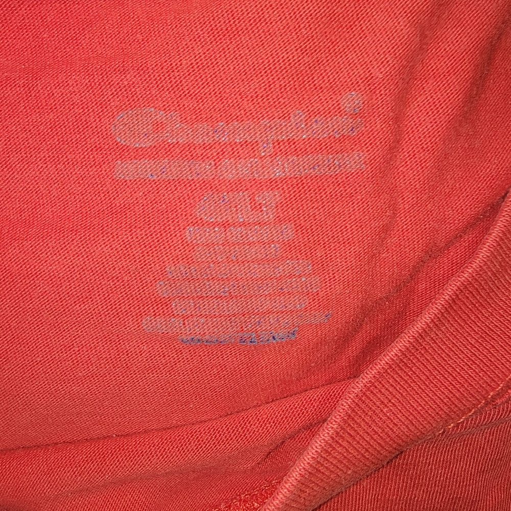 Champion t shirt small stain on shoulder